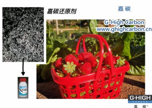 嘉碳還原劑守護(hù)“莓”好，甜蜜上線