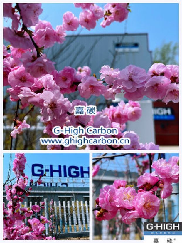 環(huán)保嘉碳，春花爛漫